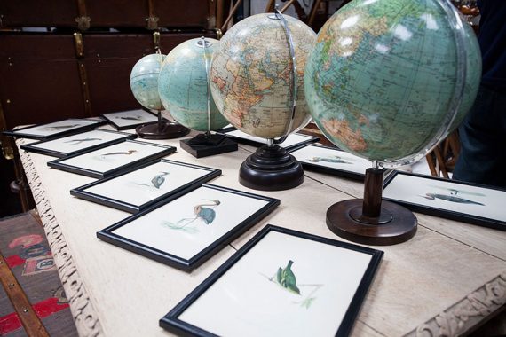 Globe Collection