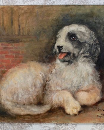Early Portrait "Stray" By Marjorie Cox of Queen Victoria's Dog Islay