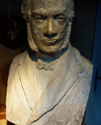 Georgian Marble Bust of William Gladstone