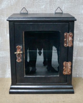 Antique Leaded Steel Glazed Medical Cabinet (SOLD)
