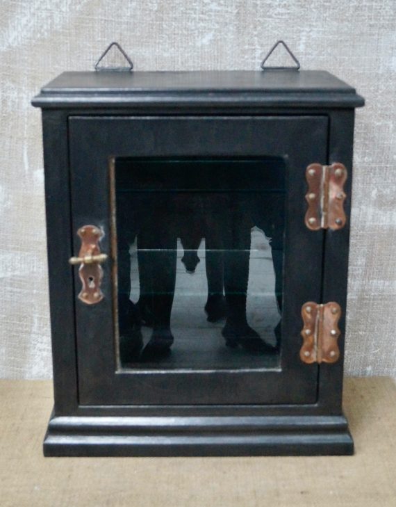 Antique Leaded Steel Glazed Medical Cabinet (SOLD)