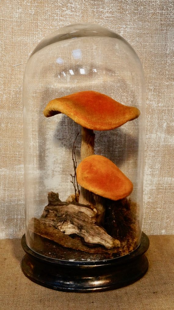 Antique Velvet & Papier-Mâché Mushrooms In Glass Dome (SOLD)